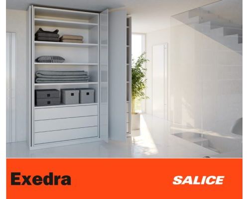 EXEDRA